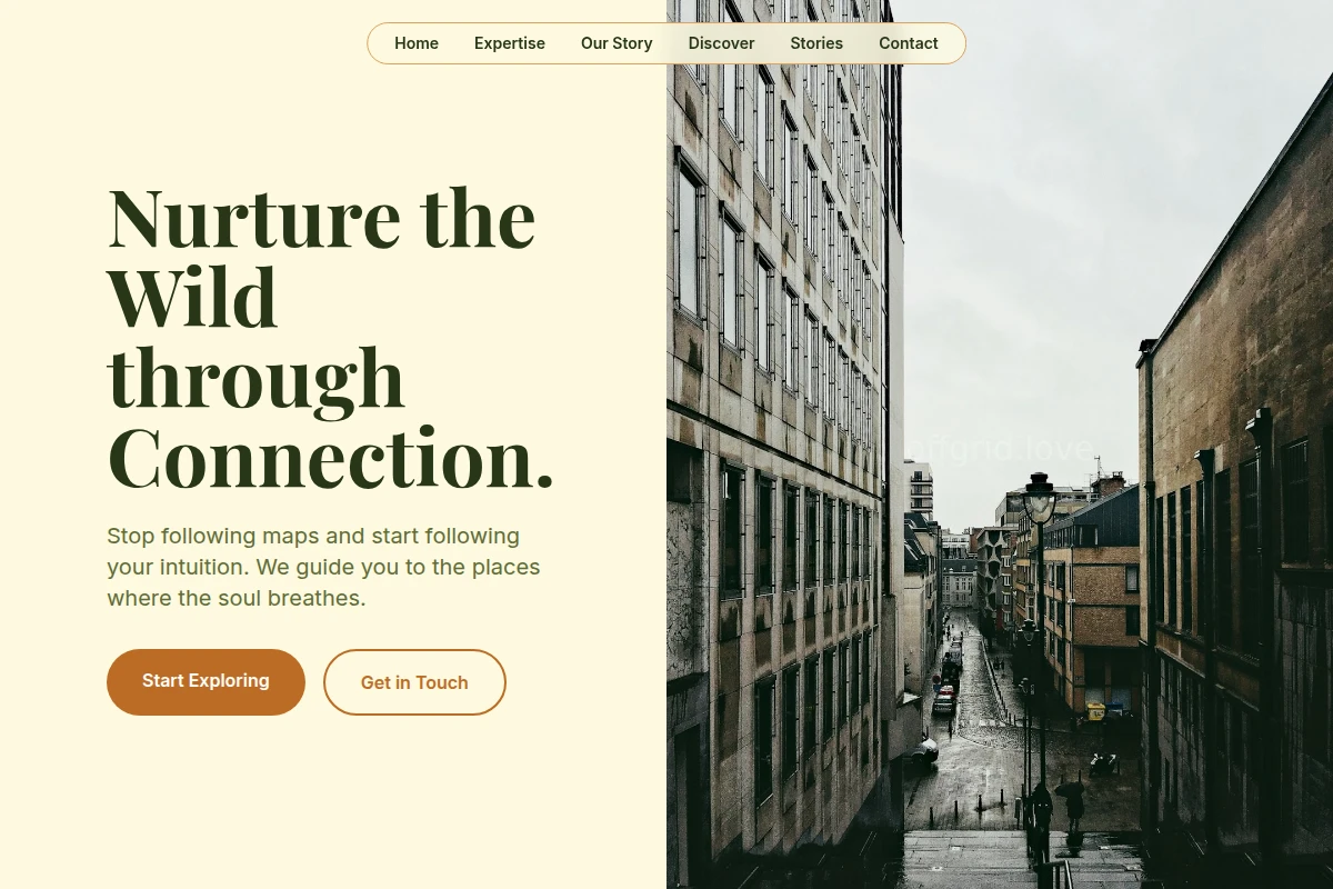 Willow Travel Guide